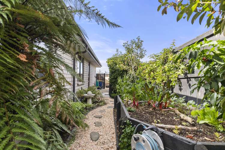 3 Balmore Crescent Pokeno_26
