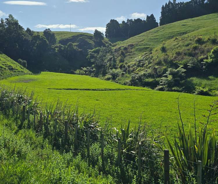 496 Wainui Road Wainui_10