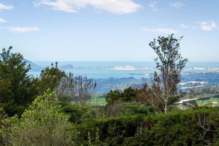 760 Esdaile Road Whakamarama_30