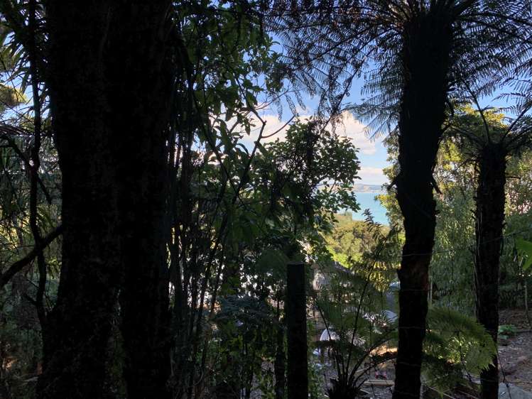 98 Fairview Crescent Omiha_5