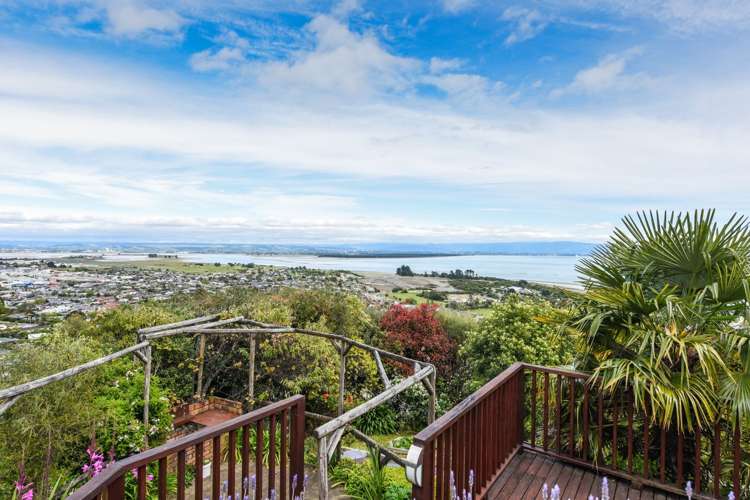 49 Stansell Avenue Tahunanui_25
