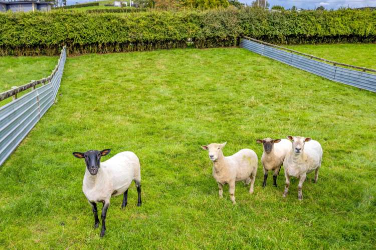 24 Victoria Road Stratford_17