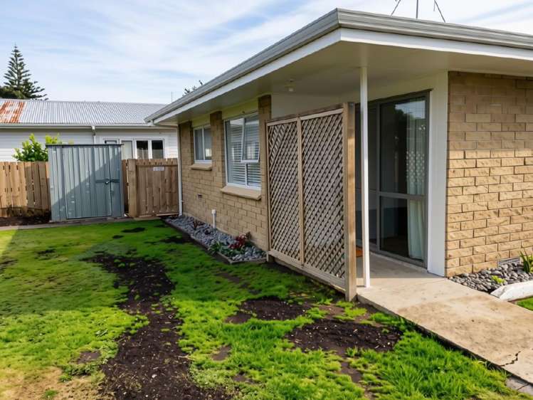 109A Eighteenth Avenue Tauranga South_0