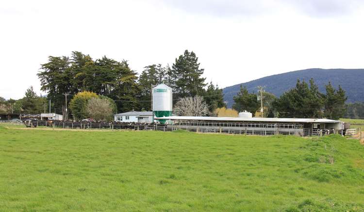 15 Allan North Otautau_9