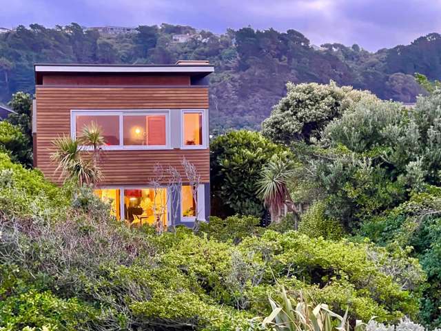 29 Boardwalk Lane Seatoun_4