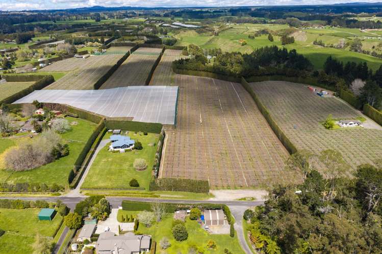 43 Jensen Road Omanawa_10