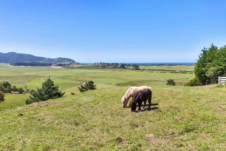 81 Blue Horizon Road Whangarei Heads_18