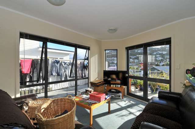 19a Waipapa Road Hataitai_1