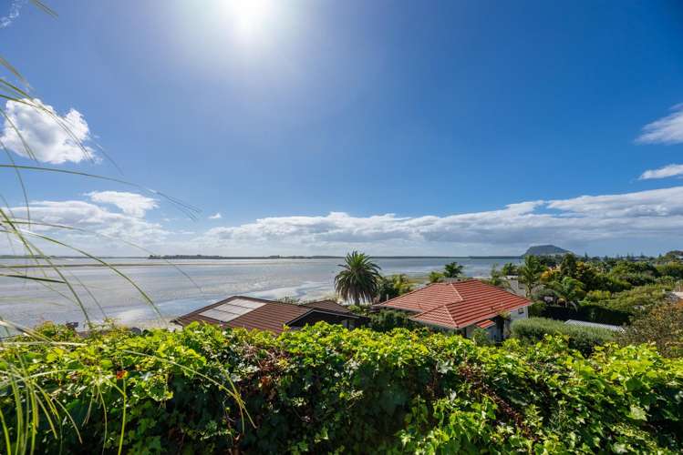 115 Matua Road Matua_17