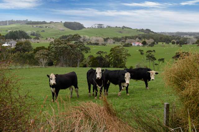 186 Taylor Road Waimauku_2