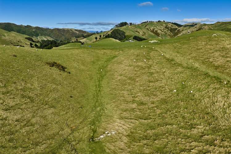 Lot 2,3 and 5/1275 Paekakariki Hill Road Paekakariki Hill_9