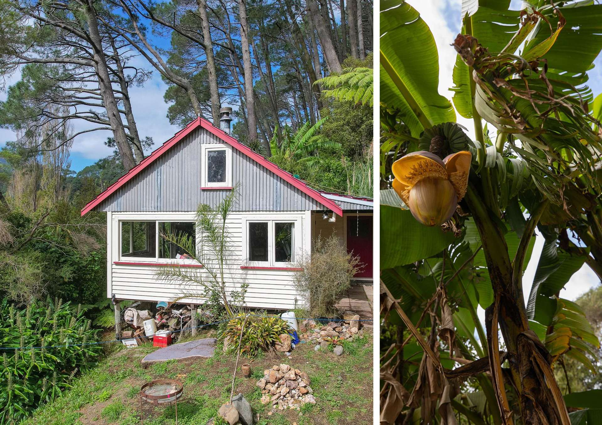 294 Tapu Coroglen Road Tapu_0