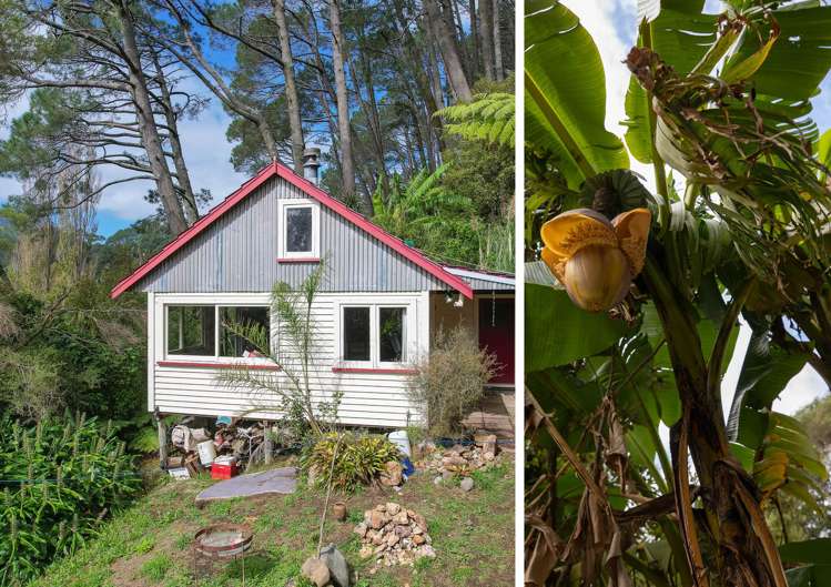 294 Tapu Coroglen Road_0