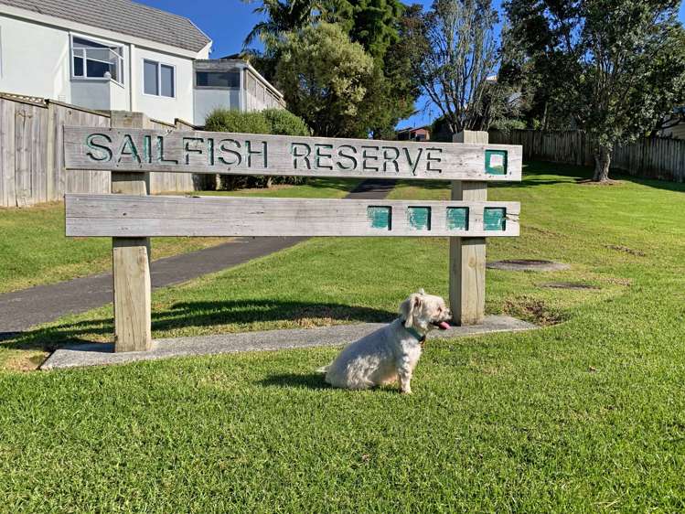 2/19 Sailfish Drive West Harbour_5