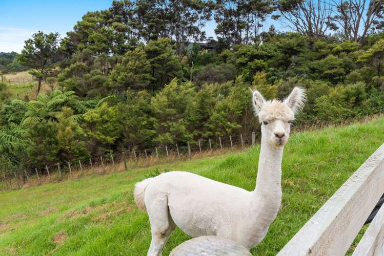 45 Donaldson Drive Coatesville_20