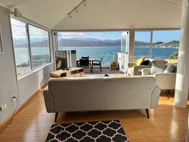 90b Awa Road Seatoun_3