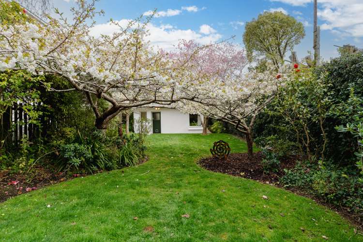 11 Arawa Street Tainui_17