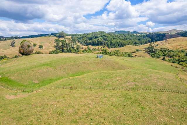 223 Maru Road Pukeatua_3