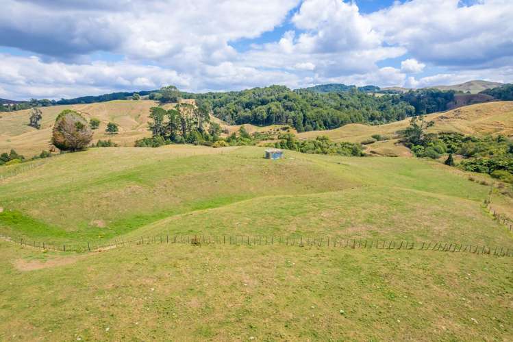 223 Maru Road Pukeatua_3