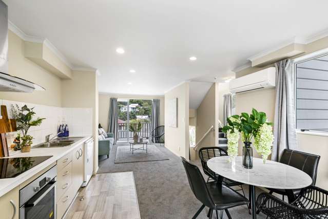 146f Aro Street Aro Valley_4