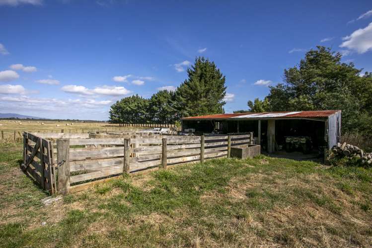 652 Makino Road Feilding_15