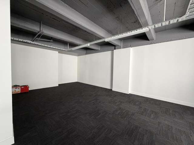 Level 2/45 Tory Street Te Aro_4