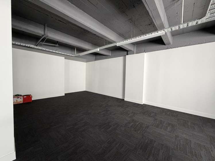 Level 2/45 Tory Street Te Aro_4