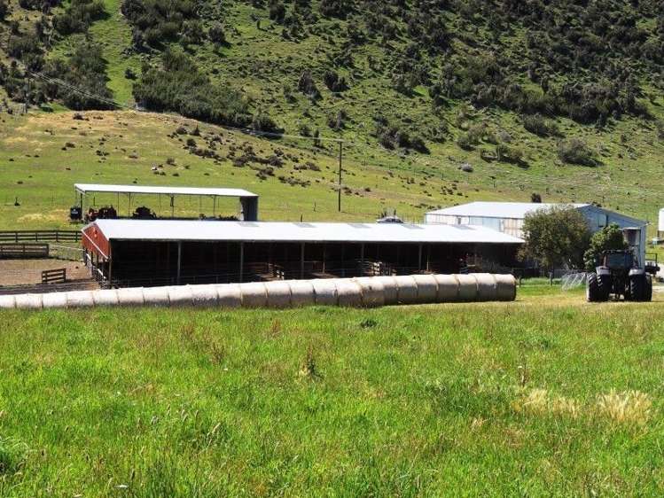 126 Mcphersons Road Taiko_23