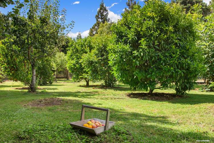 23 Maxted Road Ramarama_39