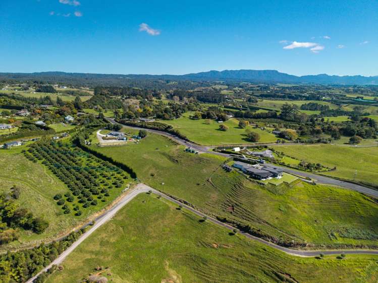 349A Whakamarama Road Whakamarama_6