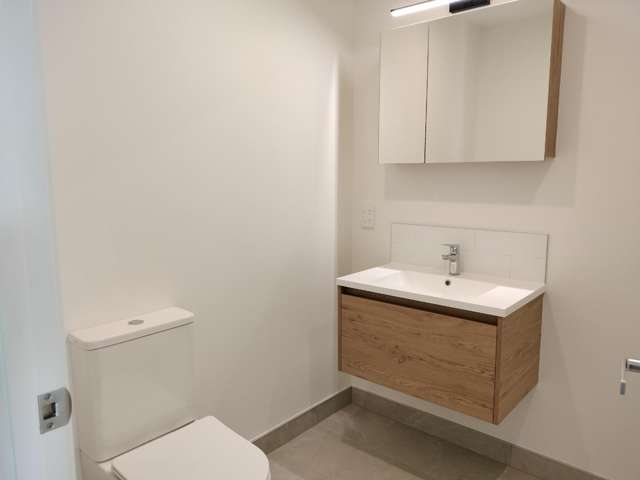 15 Parehua Street Mt Wellington_4