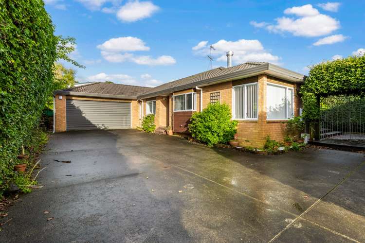 34a Haig Avenue Mount Roskill_0