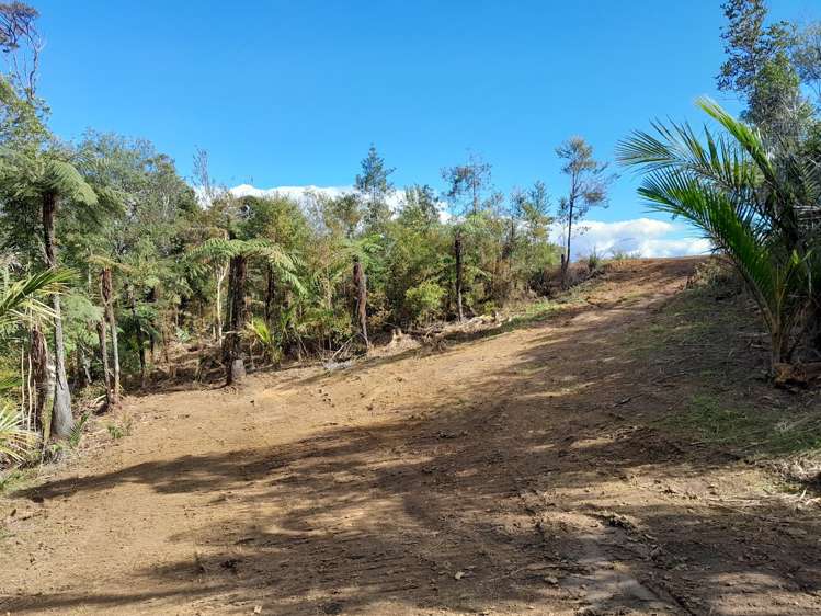 109 Kawhina Lane Kuaotunu_5