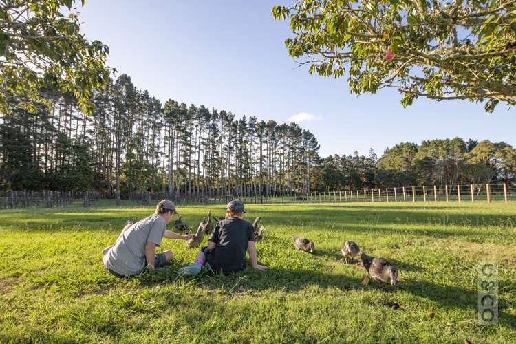 49 Dysart Lane Kumeu_32