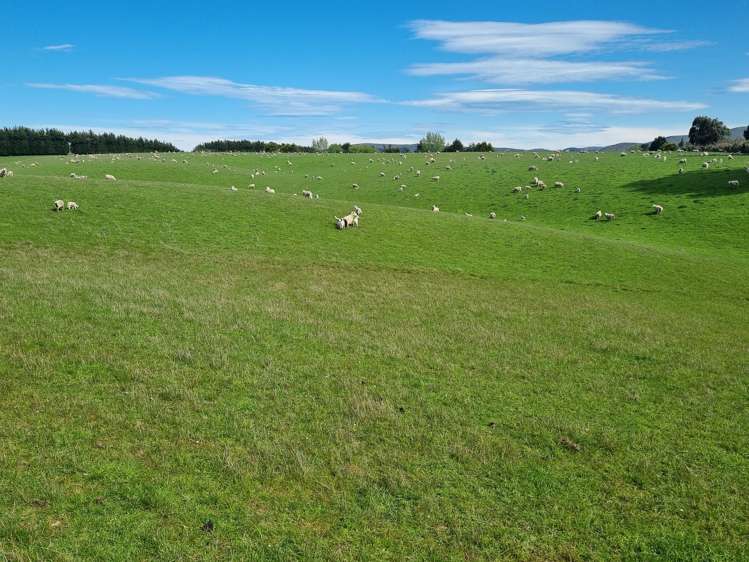 199 Moa Hill Road Clinton and Surrounds_23