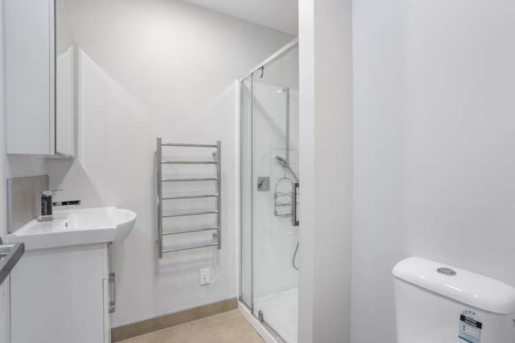 47 Divide Loop Takanini_6