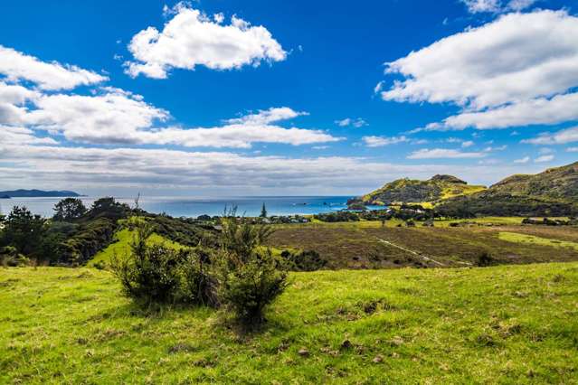 39 Sandhills Road Great Barrier Island (Aotea Island)_4