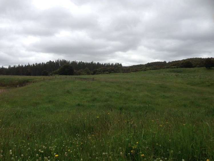 799 Dover Road Okato_13