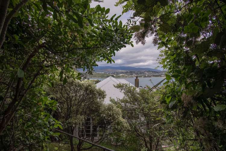 30 Marewa Road Hataitai_9