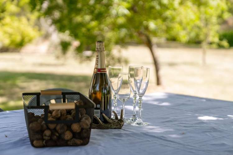 8 Hawkins Drive Martinborough_15