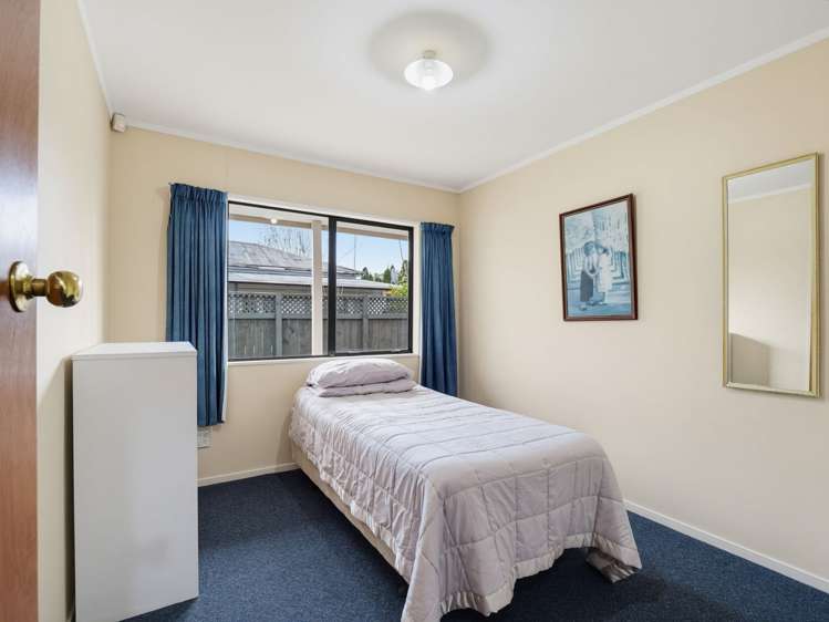 33 Ruahine Street Roslyn_16