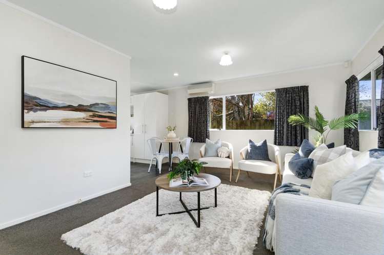 17A Fitzherbert Street_5