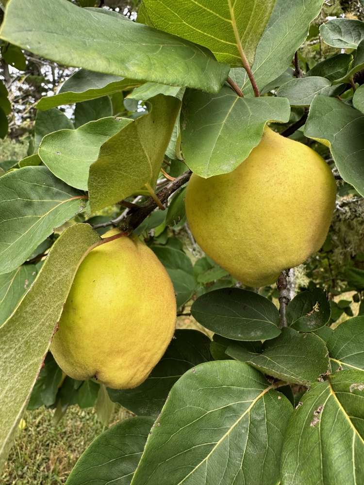 487 Kanohi Road Kaukapakapa_28