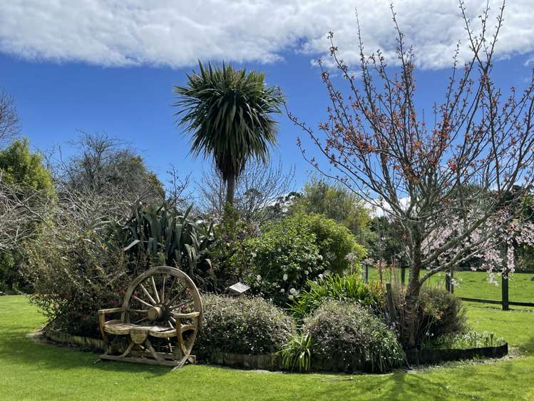 577 Wellington Road Marton_25