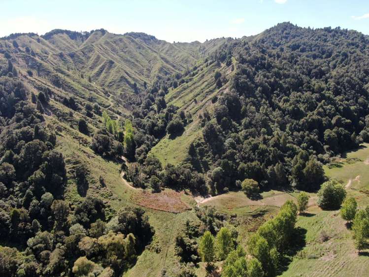 808 Roto Road Ohura_11