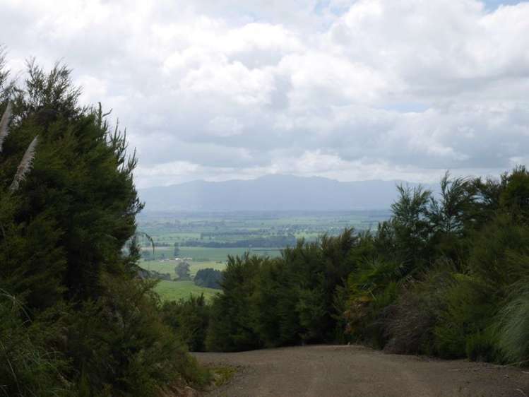 321a Quine Road Tahuna_20