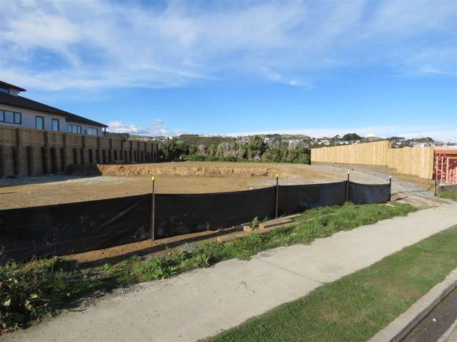 .. Pine Hill Rise Churton Park_3