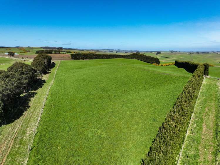 300 Jacks Hill Road Waimahaka_5