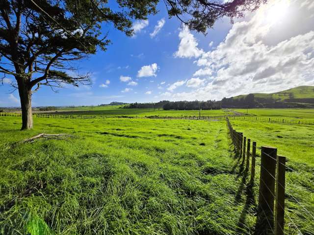 Lot Lot 3 Sills Road Dargaville_3