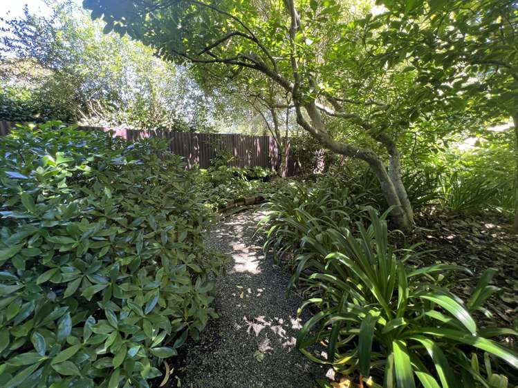 33A Rexwood Street Carterton_30